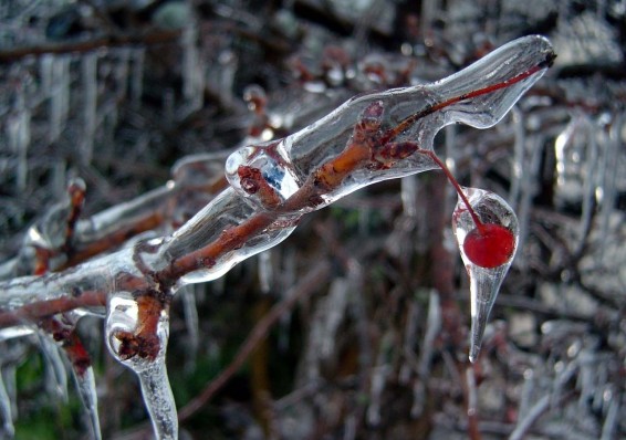 Сегодня ночью в Беларуси ожидается 12-градусный мороз