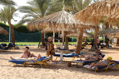 Британцам предложат продлить отпуск на Синае с возмещением расходов