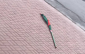 Ветер перемен: в Беларуси повсюду срываются тараканьи флаги