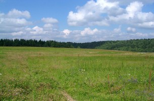 Земельный участок в Беларуси сможет получить каждый