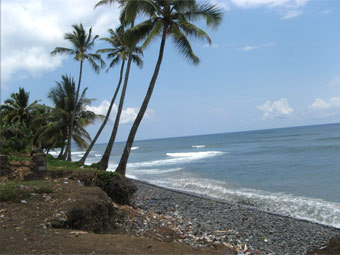 Жертвами кораблекрушения у Коморских островов стали 50 человек
