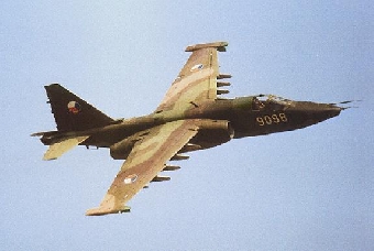 В Беларуси запрещены полеты военной авиации в связи с падением Су-25 под Новогрудком