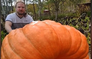Видеофакт: беларус вырастил гигантскую тыкву