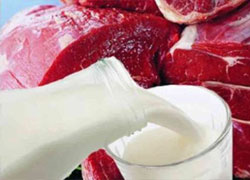 Беларусь готова запретить импорт мяса и молока из Украины
