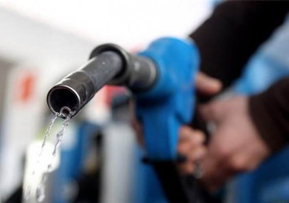 Беларусь наращивает поставки дизеля и бензина на украинский рынок