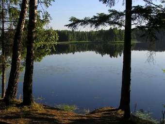 С начала купального сезона в Беларуси не зарегистрировано случаев заражения церкариозом