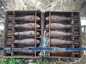 Более 200 костных останков и ящик с минами найдены при раскопках в Бресте