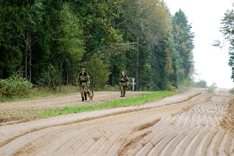 Три нелегала пытались пересечь белорусско-польскую границу вплавь через Свислочь