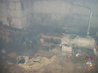 Сотрудники МЧС спасли при пожаре трех мозырян