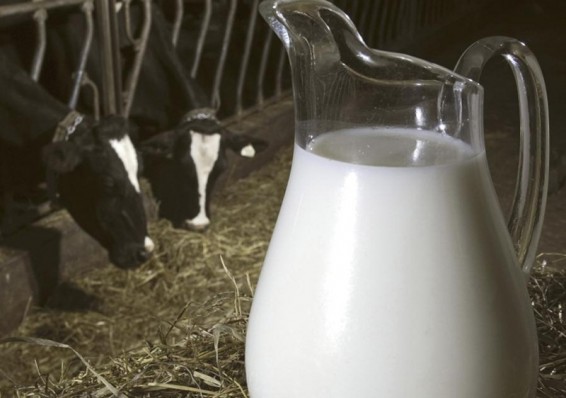 В Беларуси увеличены минимальные экспортные цены на молоко
