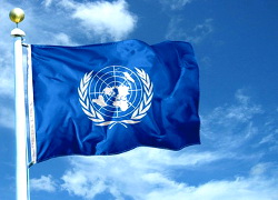 Запрет акции в подержку Украины обжалуют в ООН