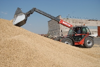 В Беларуси собрали третий миллион тонн зерна