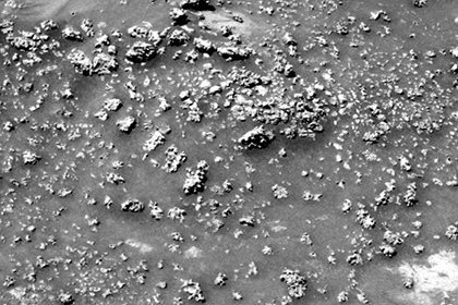 Бугорки на Марсе назвали потенциальными следами древних микробов