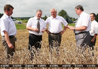 Хозяйства Беларуси должны убрать зерновые своевременно и без потерь - Мясникович