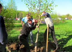 Минчане защитили сад в Курасовщине от уплотнения