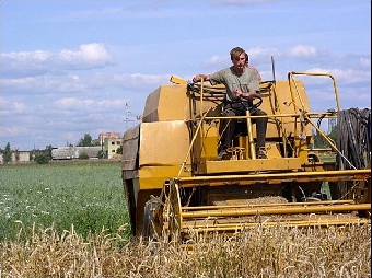 В Беларуси к 15 августа завершат уборку зерновых пять из шести областей
