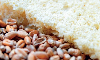 Качество зерна в Беларуси в нынешнем году лучше прошлогоднего - Госхлебинспекция