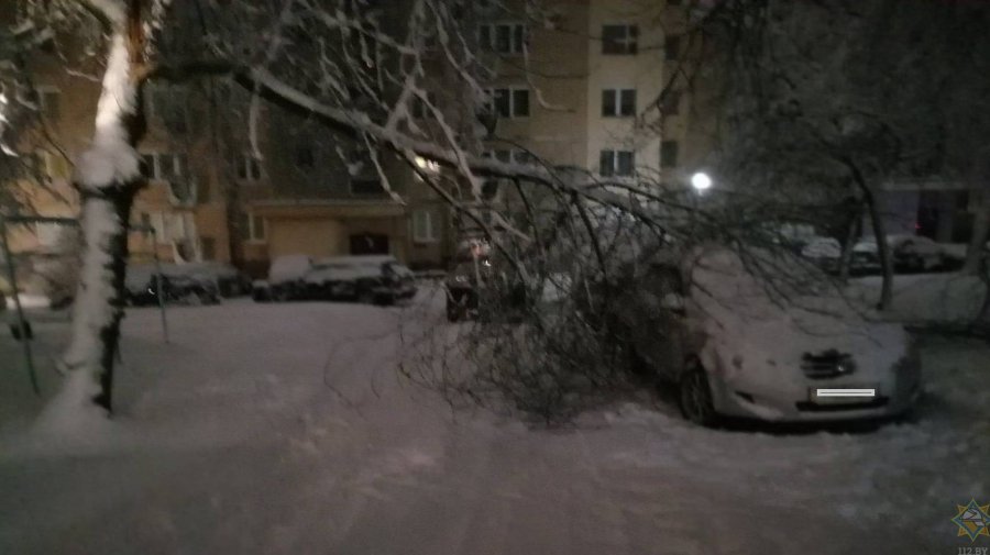 Природа разбушевалась. Беларусь накрывает циклон «Ларс»