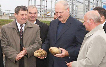 Как Лукашенко учил банкира Румаса «картошку перебирать»