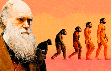 Доказана гипотеза Дарвина об эволюции