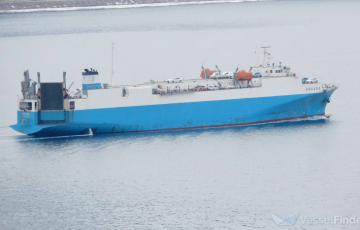 Reuters: Китай спрятал в порту корабль, доставлявший оружие из КНДР в Московию