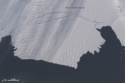 Антарктические ледники ускорили таяние