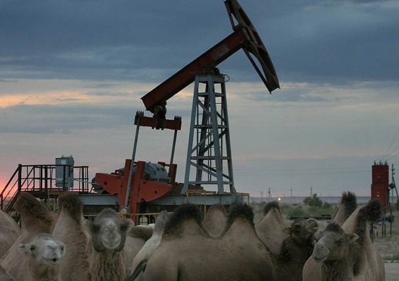 Российские СМИ: казахстанские компании не проявляют энтузиазма в отношении поставок нефти в Беларусь