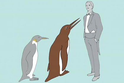 Найдены останки древнейшего гигантского пингвина