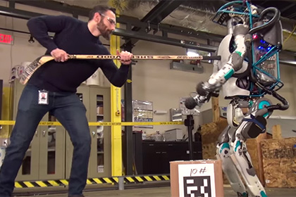 Блогеры предрекли человечеству гибель из-за мести роботов