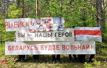 Партизаны Вилейки поддержали активистов «Европейской Беларуси» и Павла Северинца