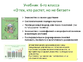 Стоимость пользования комплектом школьных учебников в Беларуси выросла на 30%