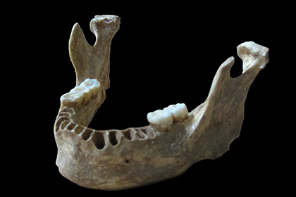 Ученые узнали о недавнем скрещивании людей с неандертальцами в Европе