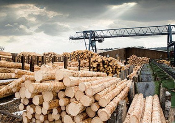 В Беларуси введено лицензирование экспорта древесины