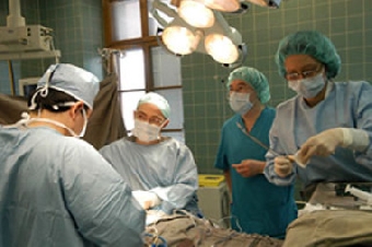 Операцию по пересадке почки начнут проводить в Гомеле и Гродно