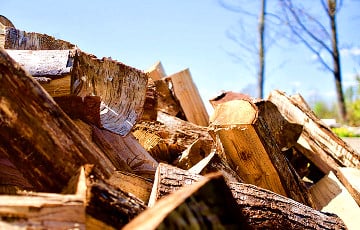 Сразу в четырех районах Гомельской области начались проблемы с дровами