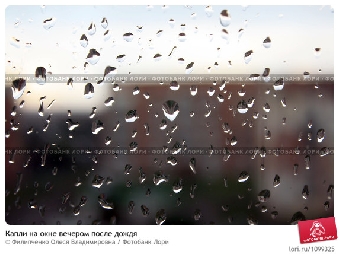Ветрено и дождливо будет в Беларуси на текущей неделе