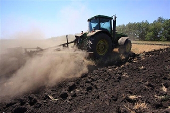 Аграрии Беларуси завершили сев озимых зерновых культур