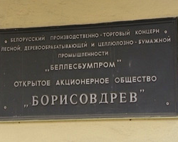Начался суд над бывшим директором «Борисовдрева»