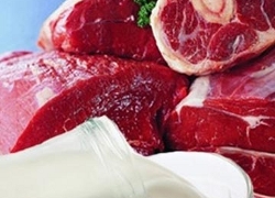Латвия запретила ввоз молока и мяса из Беларуси