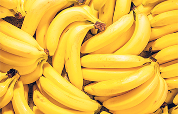 Ученые предложили использовать бананы в производстве автомобилей