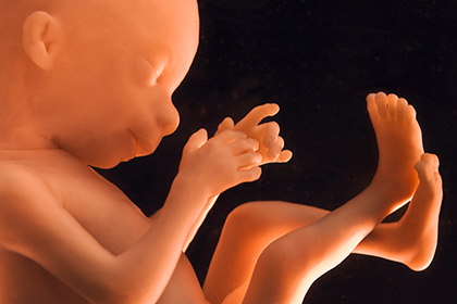 В Великобритании разрешили модифицировать эмбрионы человека