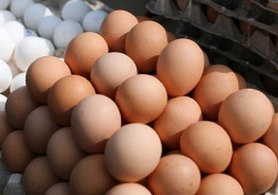 Россельхознадзор не пустил в Россию крупную партию белорусских яиц