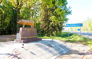 В Климовичах установили странный памятник