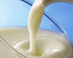 Беларусь разрешила 13 заводам импортировать молоко из ЕС