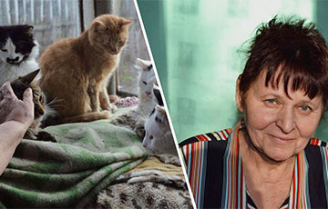 Белоруска поселила дома 88 котов