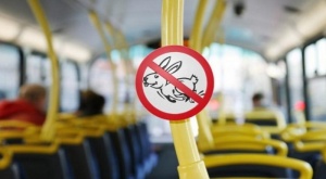 Ужесточение «охоты на зайцев»: в Минске контролеры смогут останавливать транспорт где угодно