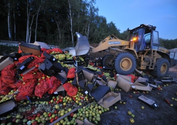 В России «белорусские яблоки» уничтожили бульдозерами