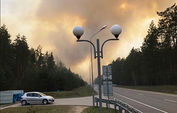 Лесной пожар на границе Беларуси и Литвы тушили более 340 спасателей