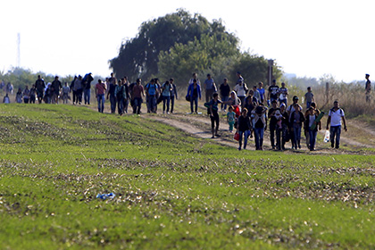 Сотни мигрантов вырвались из лагеря беженцев около венгеро-сербской границы