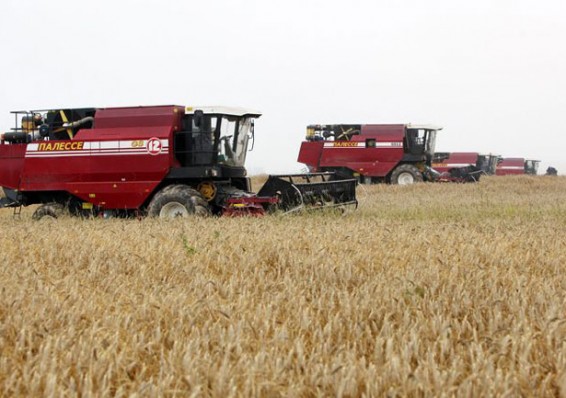 Аграрии начали массовую уборку зерновых